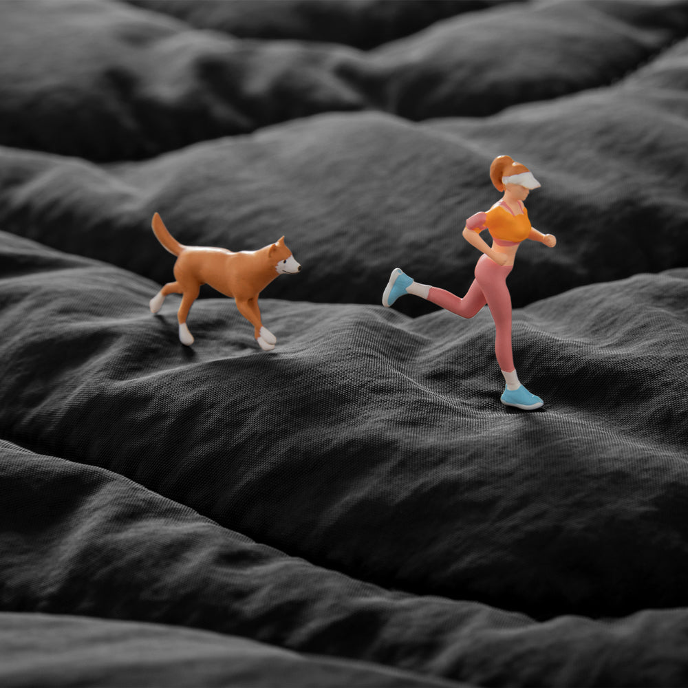 Bolsa de mano para laptop Terra - A28